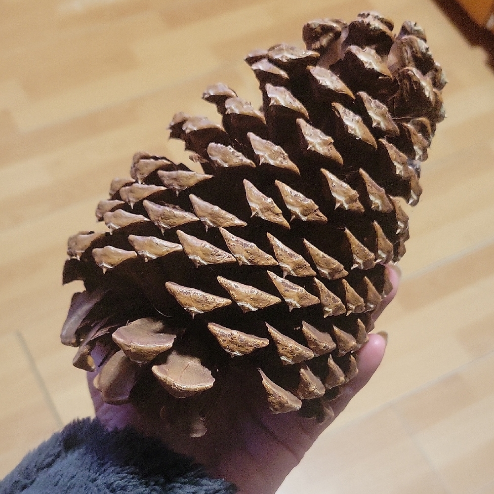 Large Pine Cone Decor